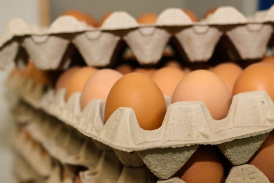 Cómo identificar el código en los huevos camperos