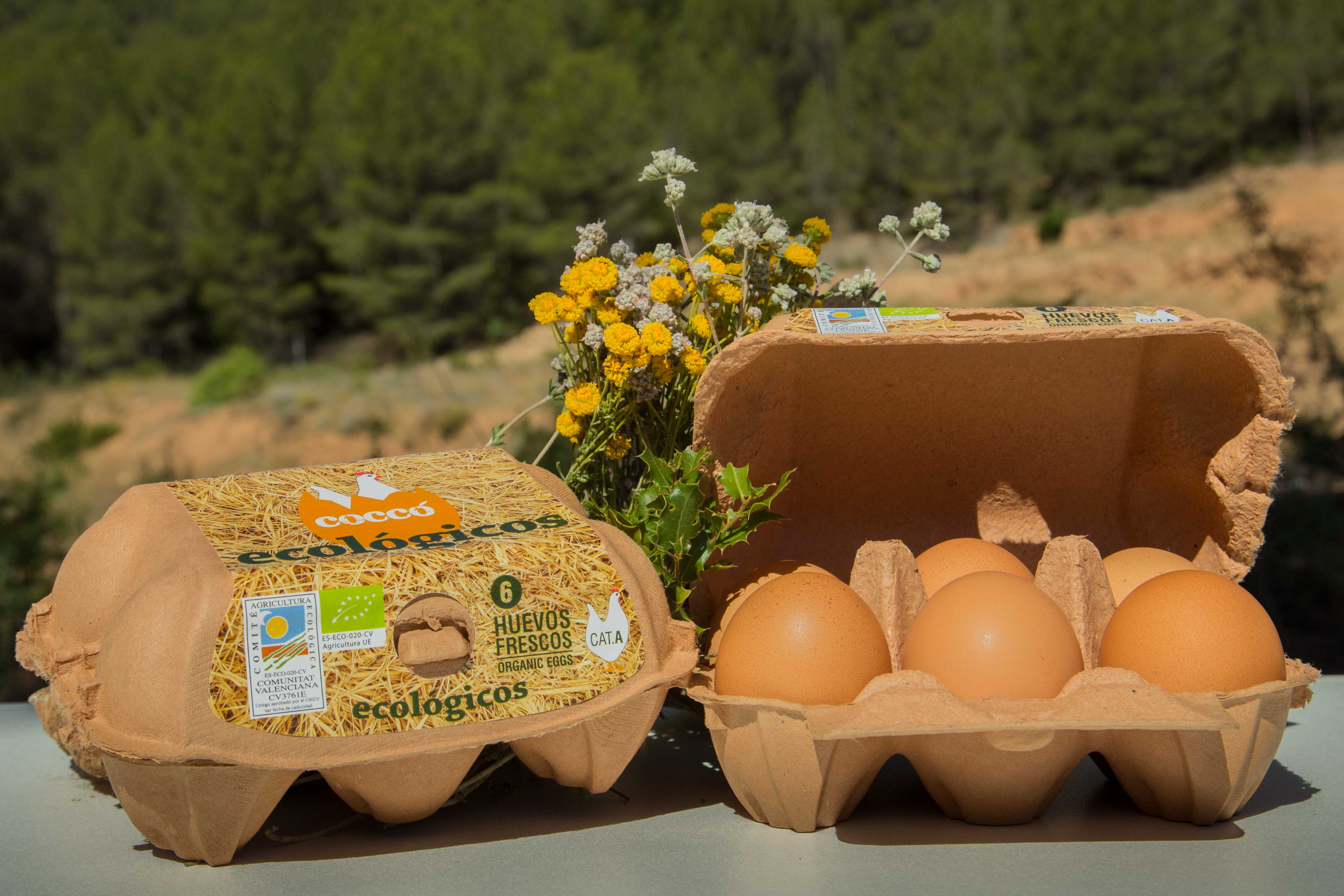 organic eggs pack