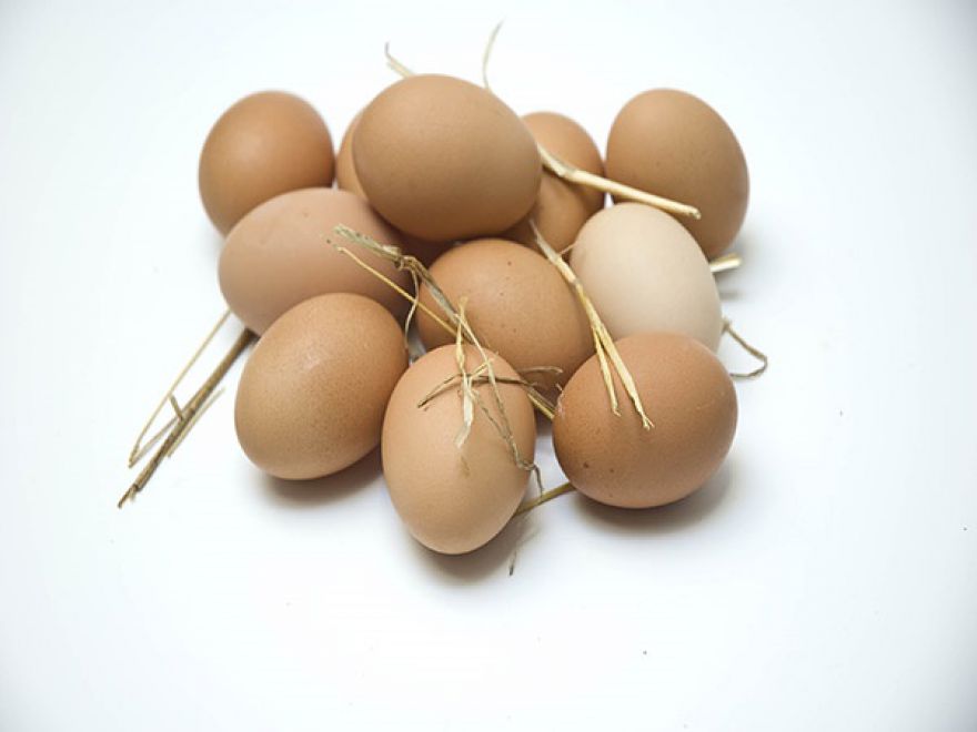 El consumo de huevos ecológicos en Europa: cifras