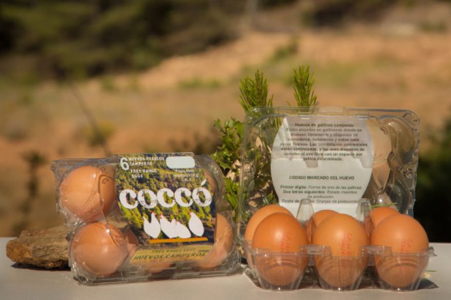 tiendas dónde comprar huevos camperos y ecológicos de Coccó Farm