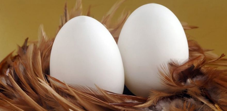 El huevo es un fundamental para una dieta saludable